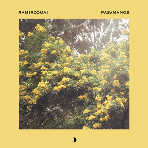Pasamanos (Original Mix)