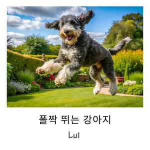 폴짝 뛰는 강아지