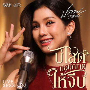 บ่โสดบ่อนุญาตให้จีบ (Version Live Session)