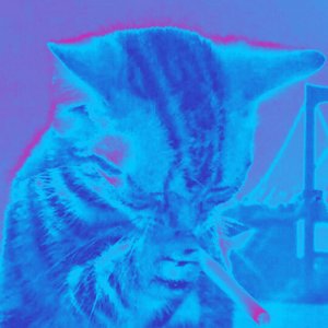 The Sound of Your Fear