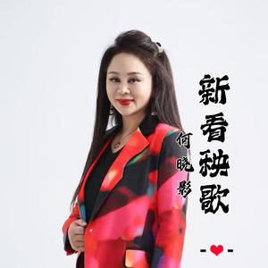 新看秧歌DJ兄弟版