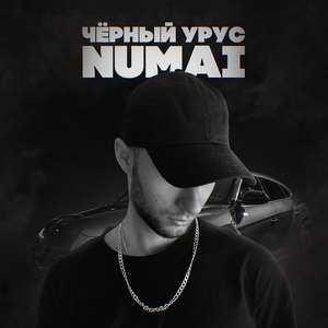 Чёрный урус