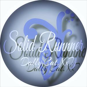 Solid Runner (Instrumental)