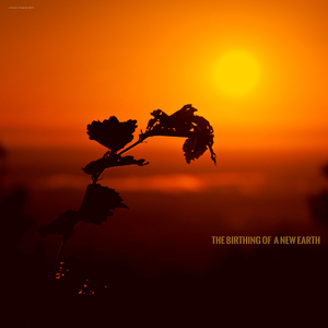 Pressureless Embrace