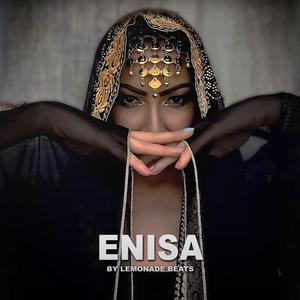 Enisa
