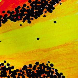 Aditya (Sun in My Heart)