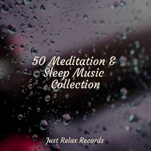 Luminous Promenade of Love