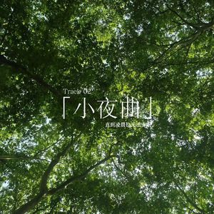 小夜曲【洛天依 乐正绫AI】