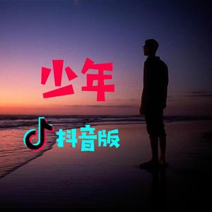 少年（抖音版）