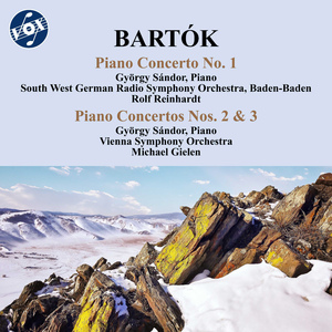 Piano Concerto No. 1, BB 91:III. Allegro molto