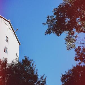 已是两条路上的人（翻自 赵雷）