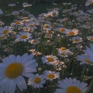 哪里都是你（片段）