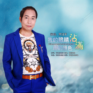 我的眼睛沾满雨的颜色