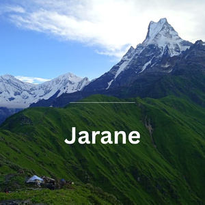 Jarane