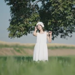 Handpan Echoes手碟回音