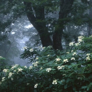 祝你爱我到天荒地老（伴奏）