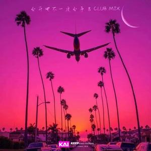 分开不一定分手 (DJ版) 山野 (DjV CLUB Mix)