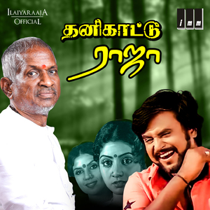 Raasaave Unna Naan Ennithan