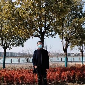红尘来去一场梦