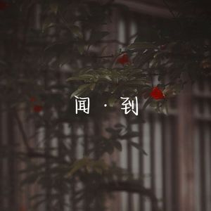 闻到《为有暗香来》电视剧插曲 cover：黄诗扶
