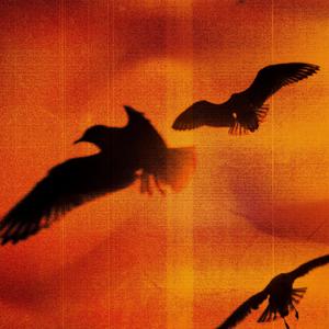 Jakob's Dream (Interlude)