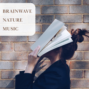 夏日最後的玫瑰 (脑波音效丶浪潮)