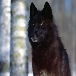 Head Hunting