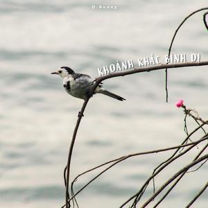 Khoảnh Khắc Bình Dị