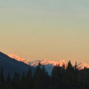 幽林谧语歌（助眠减压钢琴曲）