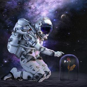 分开 pt 2 separate