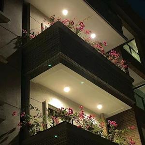 春风沉醉的夜晚