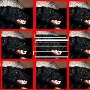 Honeybadger (Don't Care)