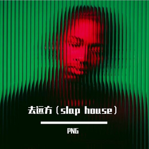 付俊乐-去远方 salp house（PNG remix）