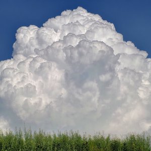 不想写完的句号