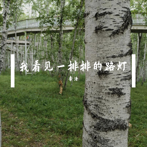 我看见一排排的路灯