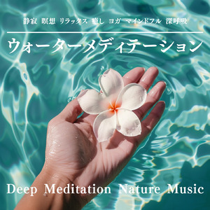 眠りの波音 - 心を浄化する夜の環境音