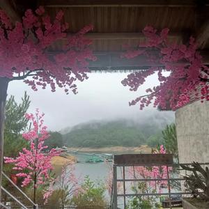 父亲(熊出没eom)