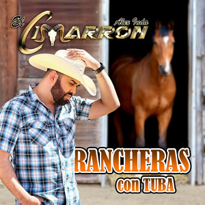 De Que Manera Te Olvido (Norteño)