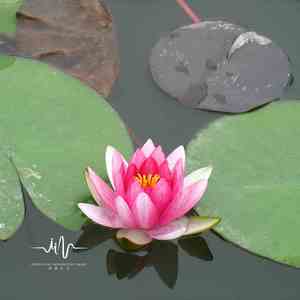 温暖慕城 (卡琳巴解压)