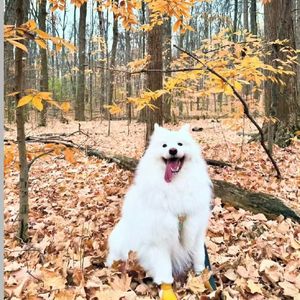 爱的回归线遥望