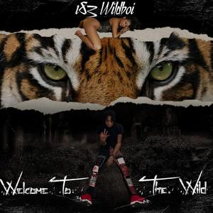 Intro (Wildboi this shit hard)