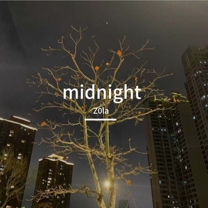 Back To Black（cover）