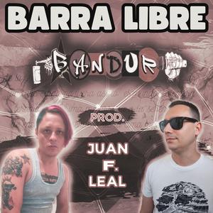 Barra Libre