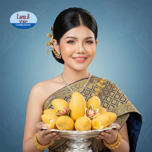 ចាបដើរដី