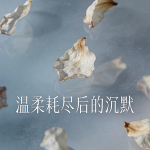 温柔耗尽后的沉默