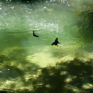 缘为冰（DJ潮汐旋律）