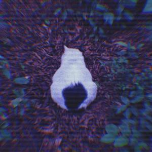 Green Summer「Beat」