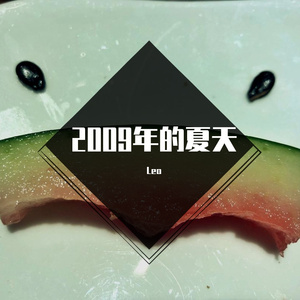 群星-DJLEO NON-STOP 康城（Leo remix）