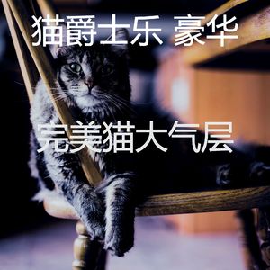 温和小猫梦想