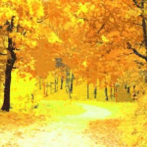 Autumn Leaves